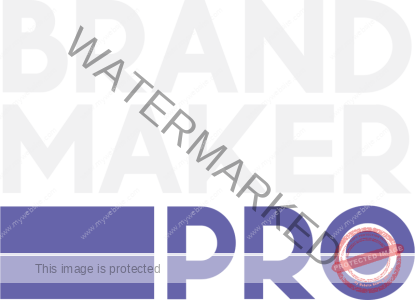 brandmakerpro_cs